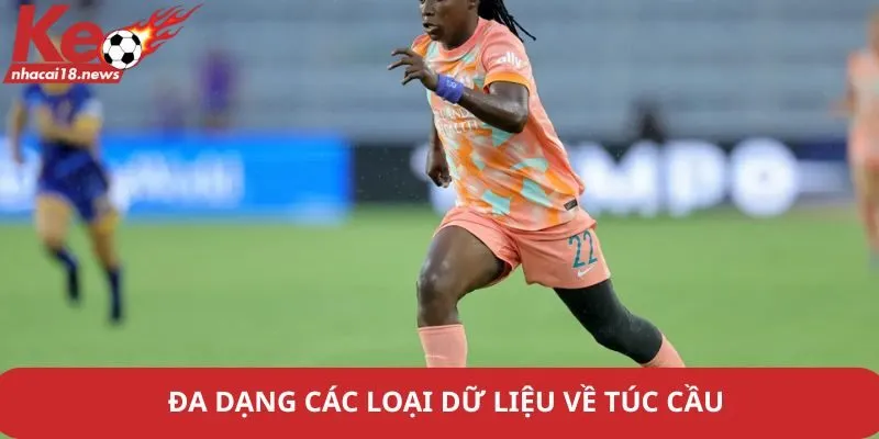 Đa dạng các loại dữ liệu về túc cầu