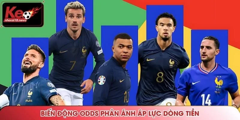 Biến động odds phản ánh áp lực dòng tiền
